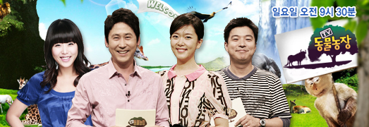 TV ��������