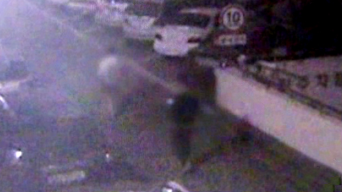 �Ͱ� �������� �б�� ������ ���ࡦCCTV ����