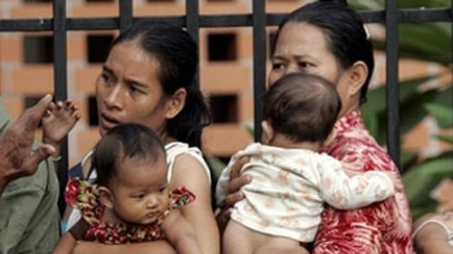 말레이시아서 올들어 뎅기열로 36명 사망 관련 이미지