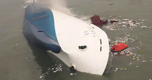 해양사고 면허취소 0.1% '유명무실 징계'