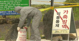 여름엔 없다더니&hellip;청정지역 제주서 AI 발병