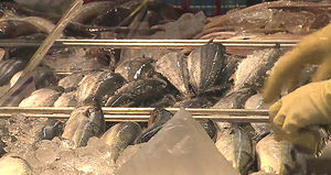 '에볼라' 공포…아프리카산 수산물 판매 중단 검토