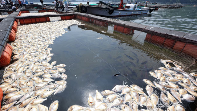 [현장 포토] 가두