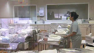 [친절한 경제] "싱글세" 소문에 온종일 논란