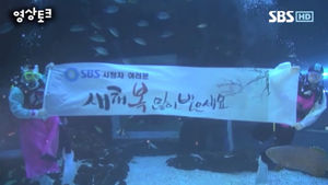 [영상토크] 수족관 속 아쿠아리스트들의 새해 인사