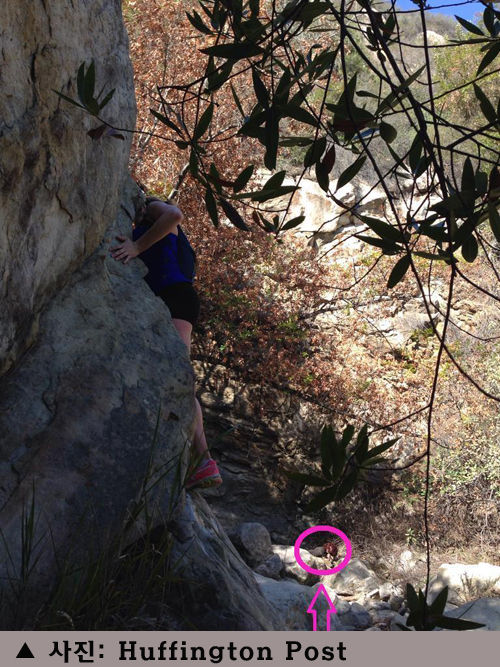 박병일 취파_640