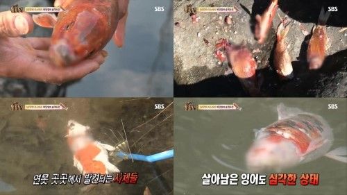 둥물농장