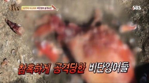 둥물농장