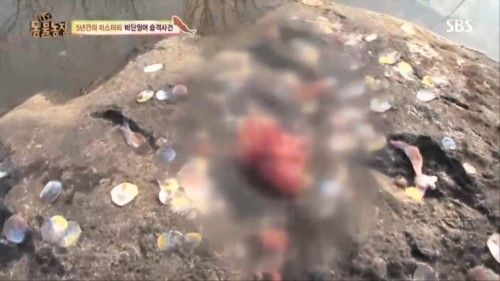 둥물농장