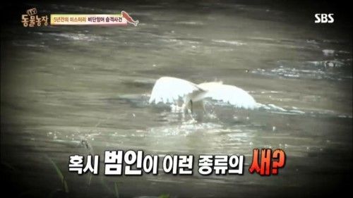 둥물농장