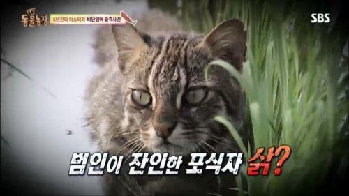 둥물농장