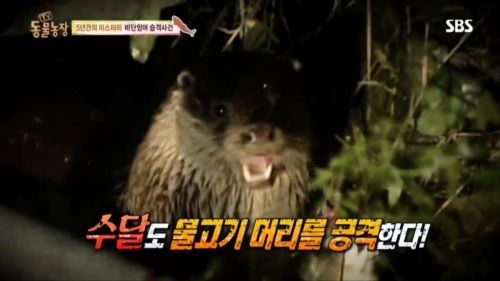 둥물농장