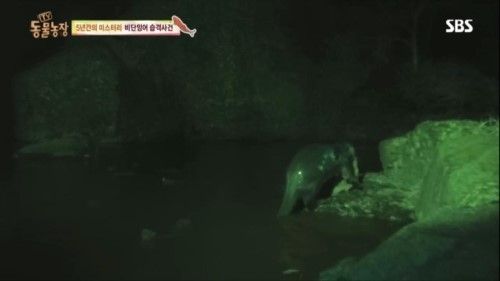둥물농장