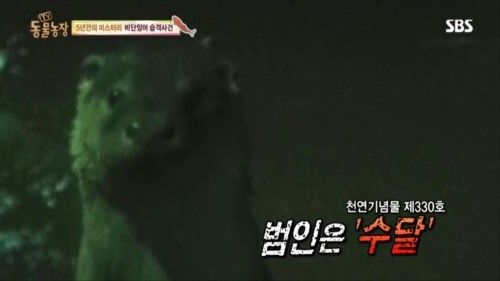 둥물농장