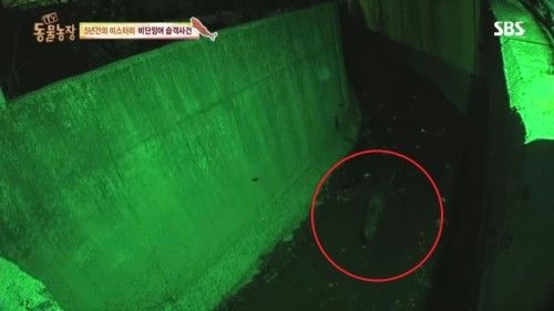 동물농장1