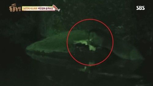 동물농장1