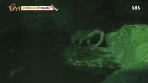 동물농장1
