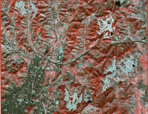 최호원 취파_640