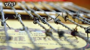 [영상토크] 선율이 된 슬픔…철조망으로 연주하는 '아리랑'