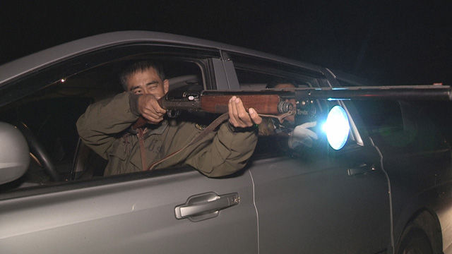 야생동물 포획단