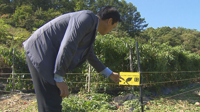 야생동물 퇴치용 전기 울타리