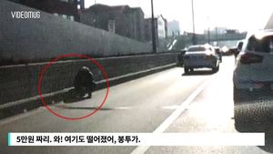 마른하늘에 돈다발?!…도로 막고 돈 줍는 사람들