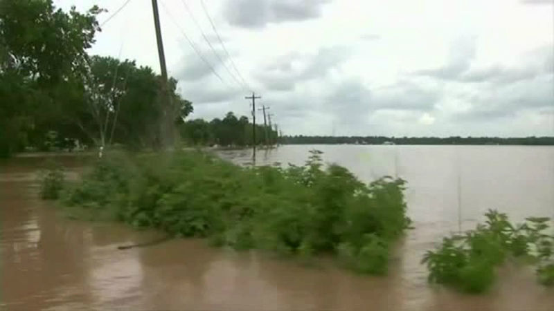 [영상pick] 홍수로 폐허 된 美 텍사스…사슬 묶인 채 물에 빠진 강아지
