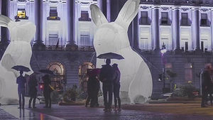 [모닝 스브스] 한국 상륙한 거대 토끼&hellip;'습격'에 숨겨진 사연