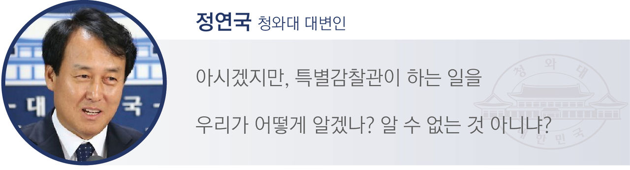 [정연국 청와대 대변인]
"아시겠지만, 특별감찰관이 하는 일을 우리가 어떻게 알겠나, 알 수 없는 것 아니냐?”

