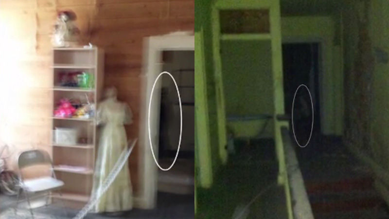 게디 부부가 촬영해놓은 사진들