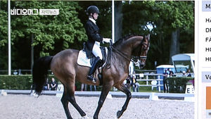 [자막뉴스][단독] 나라 흔들어 놓고&hellip;"정유라, 3달 전 수억 명마 구입"