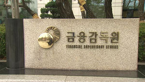 금감원, 대선 앞두고 '정치테마주' 특별조사