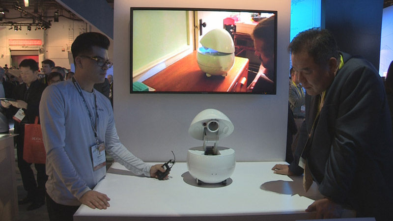 음성인식 기술이 탑재된 파나소닉의 소형 로봇