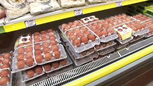 미국산 달걀 식탁 오른다…다음 주 본격 유통