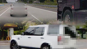 경미한 공익신고에 "억울하다"…경고장으로 대체