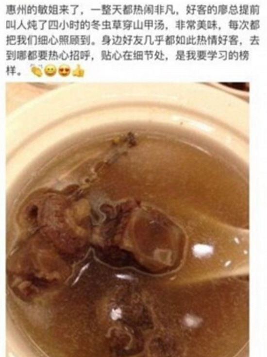 '멸종위기종' 천산갑 요리 SNS에 자랑한 中 여성