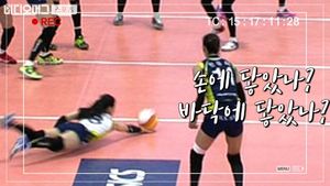 [비디오머그]‘공이 먼저다 손이 먼저다’ 심판의 눈 VS 비디오 판독, 승자는?