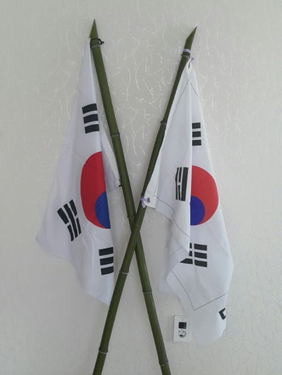 박사모 죽창 태극기