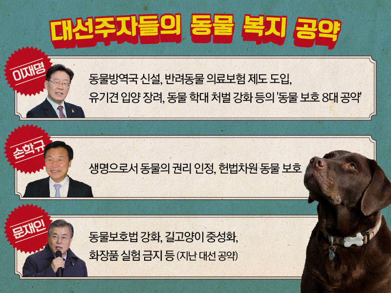 동물 복지 공약