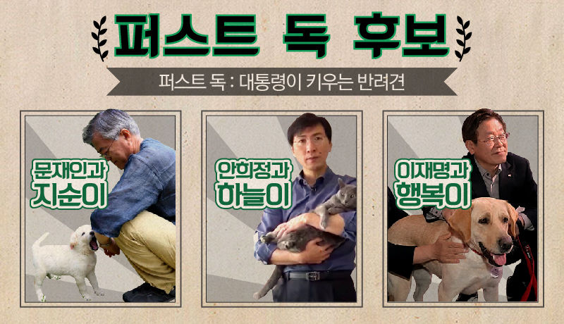 퍼스트독 후보들