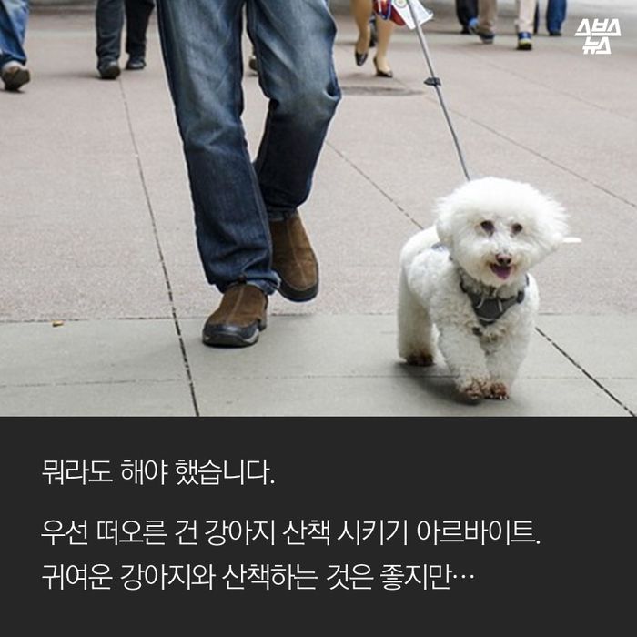 메인이미지  5 : 뭐라도 해야 했습니다.
우선 떠오른 건 강아지 산책 시키기 아르바이트.
귀여운 강아지와 산책하는 것은 좋지만…