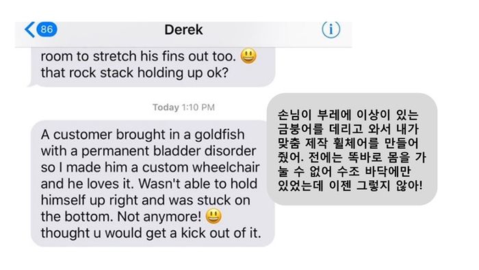 금붕어 문자
