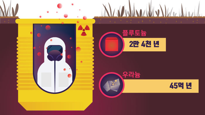 반감기