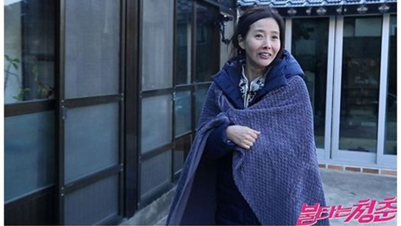 기사 대표 이미지:불타는청춘 강수지, 김국진 위한 숨바꼭질…핑크빛 치와와커플