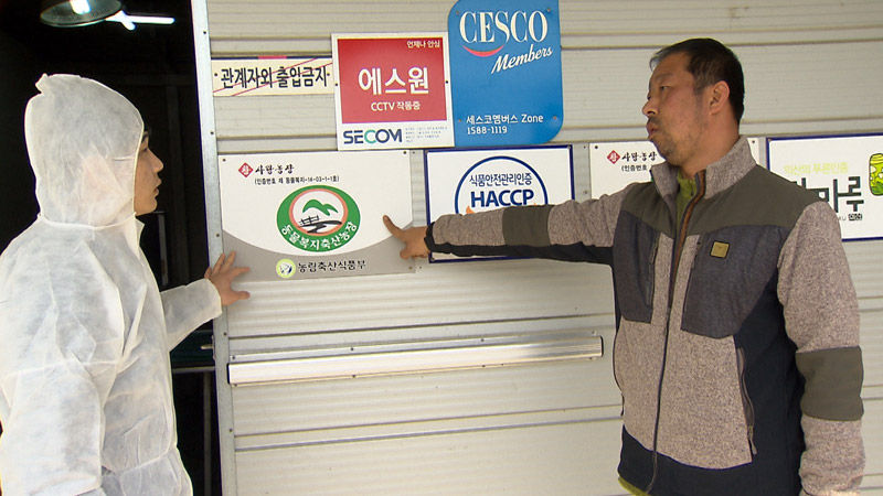 정부, 지자체 AI 잠복기 무시