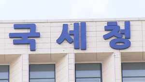 올해 세무조사 규모 줄인다&hellip;"본업 지장 우려"