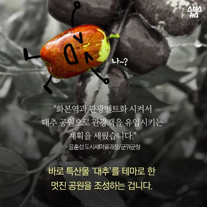 메인이미지  3 : "화본역과 관광벨트화 시켜서
대추 공원으로 관광객을 유입 시키는
계획을 세웠습니다."
-윤훈섭 도시새마을과장/군위군청
바로 특산물 '대추'를 테마로 한
멋진 공원을 조성하는 겁니다.
