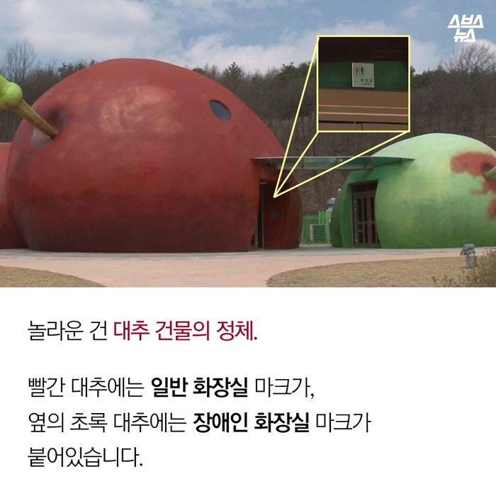 메인이미지  9 : 놀라운 건 대추 건물의 정체.
빨간 대추에는 일반 화장실 마크가,
옆의 초록 대추에는 장애인 화장실 마크가
붙어있습니다.