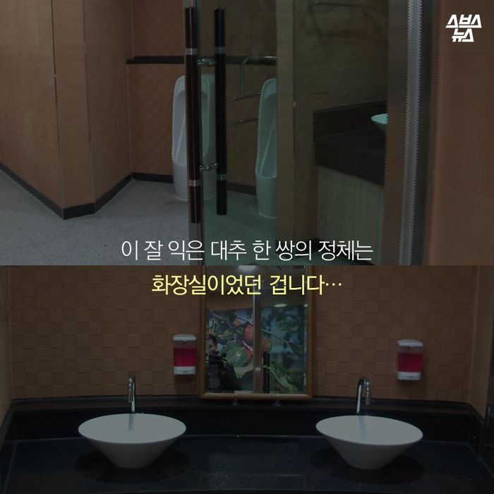 메인이미지  10 : 이 잘 익은 대추 한 쌍의 정체는
화장실인 겁니다…