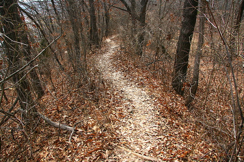 길은 꼬불꼬불 작은 산길을 지나 바다로 이어지고 있었다.